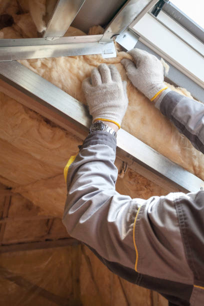 Best Garage Insulation Installation  in Anson, TX