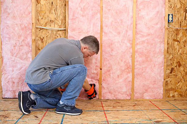 Best Local Insulation Services  in Anson, TX
