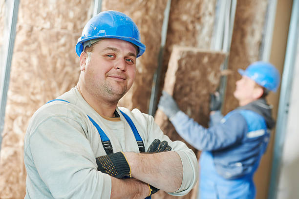 Best Local Insulation Services  in Anson, TX